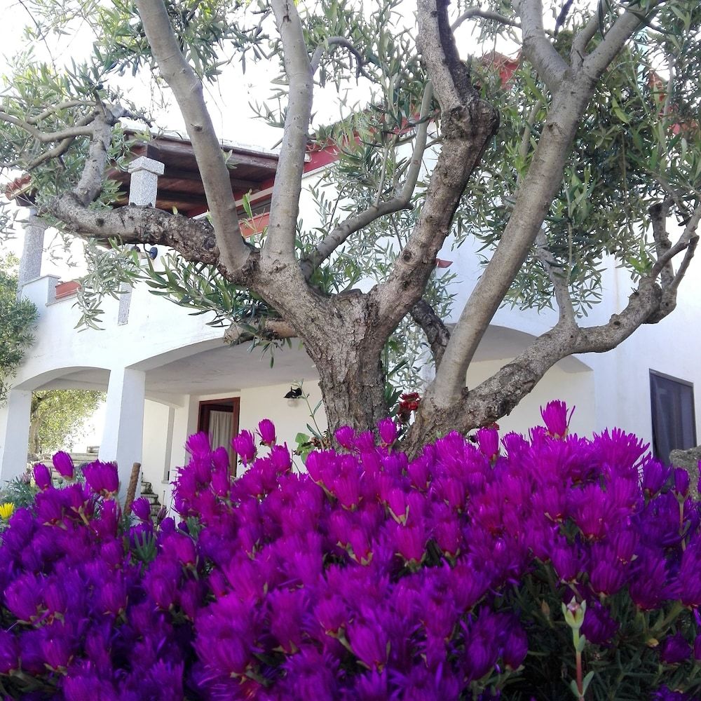Bed and Breakfast Domo De Resteblas