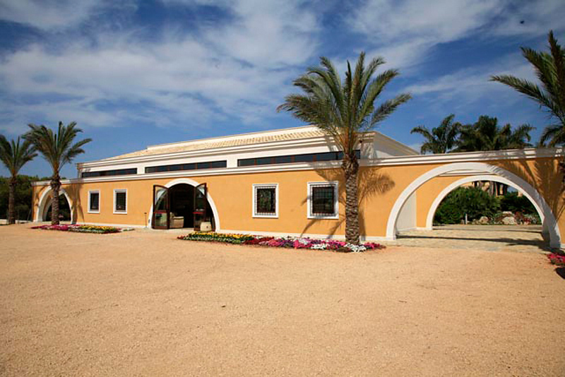 Disio Resort