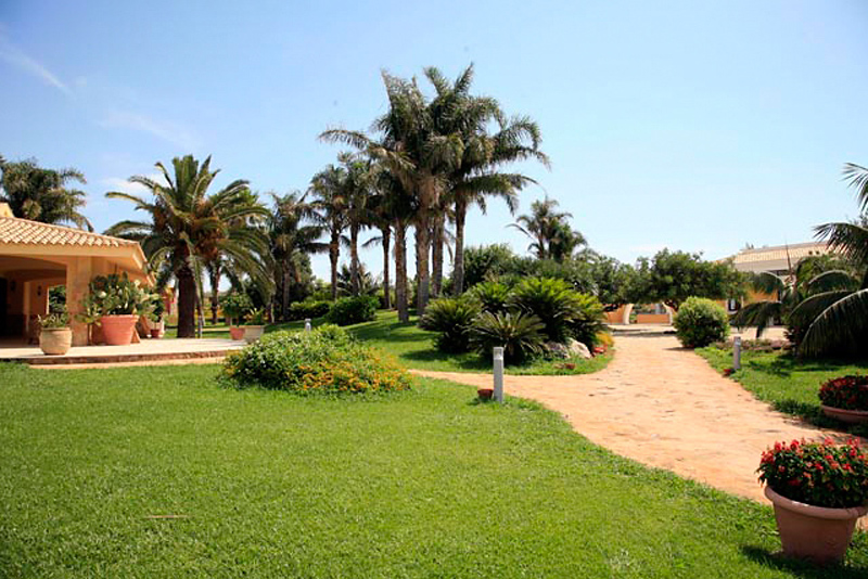 Disio Resort