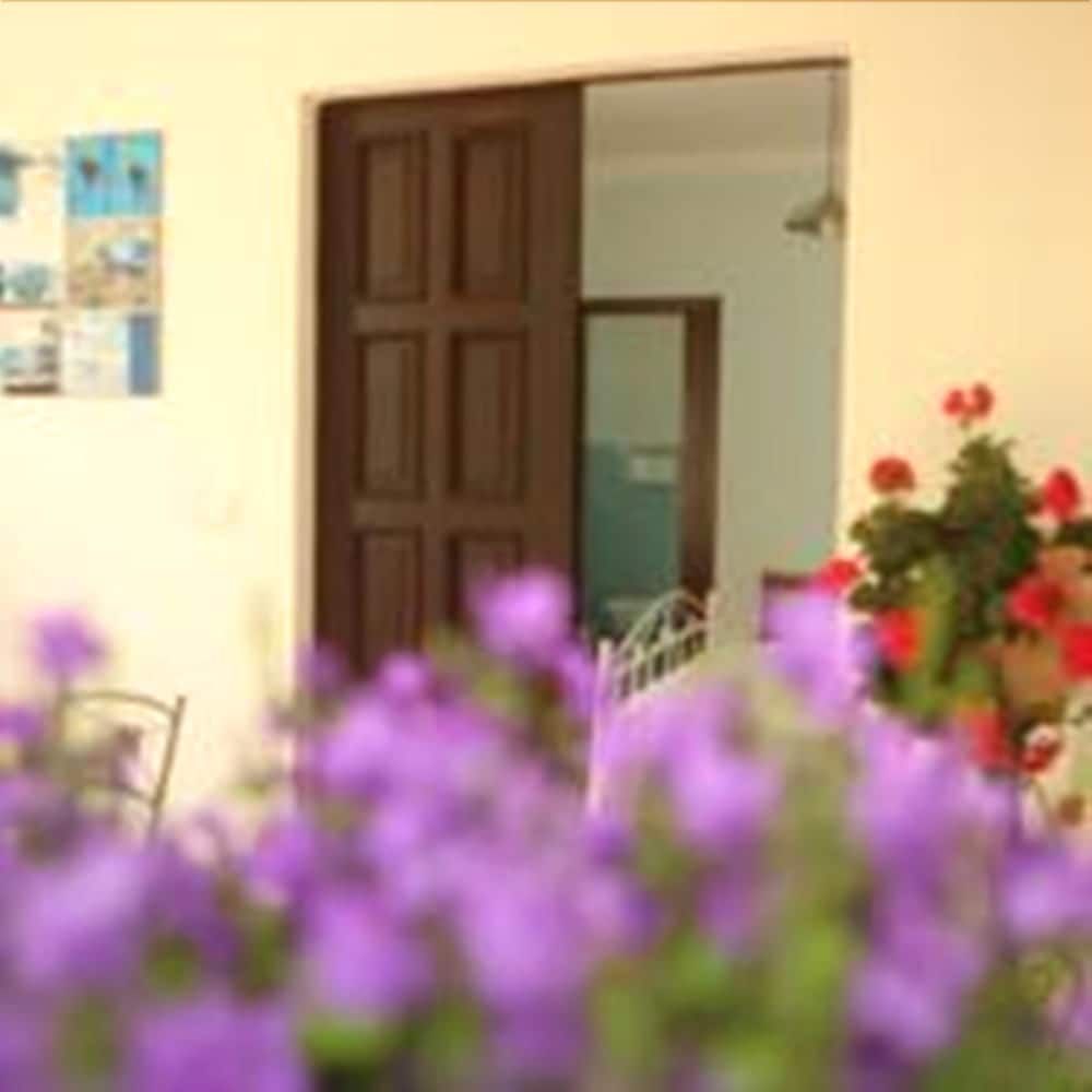 La Casa Del Gelso