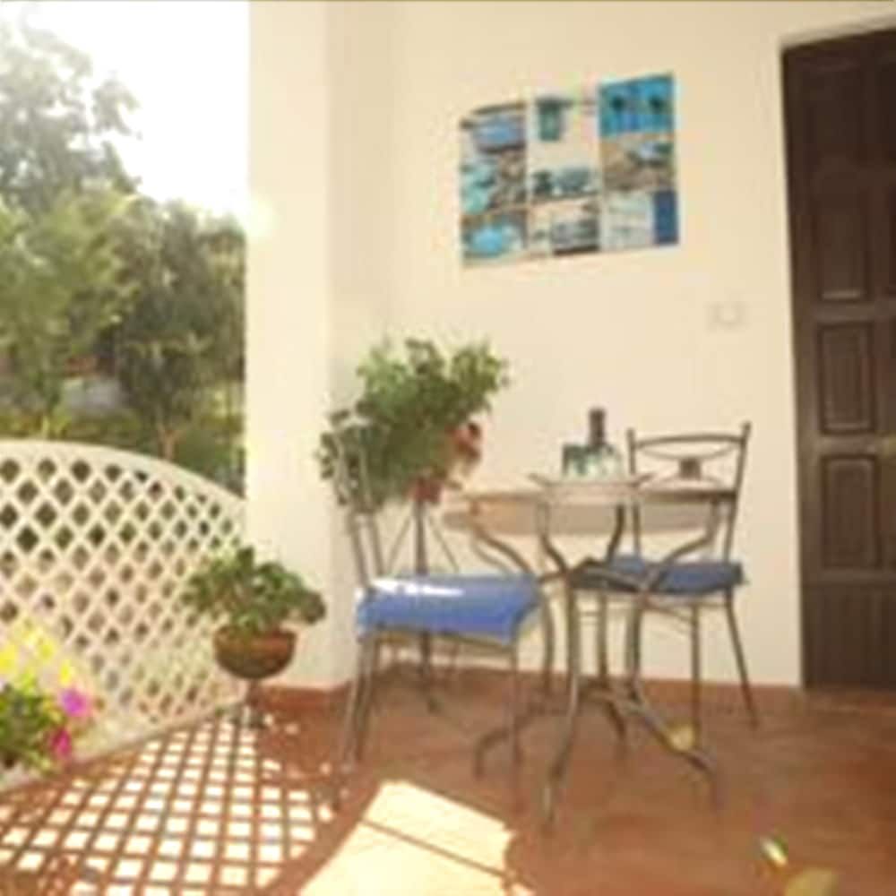 La Casa Del Gelso