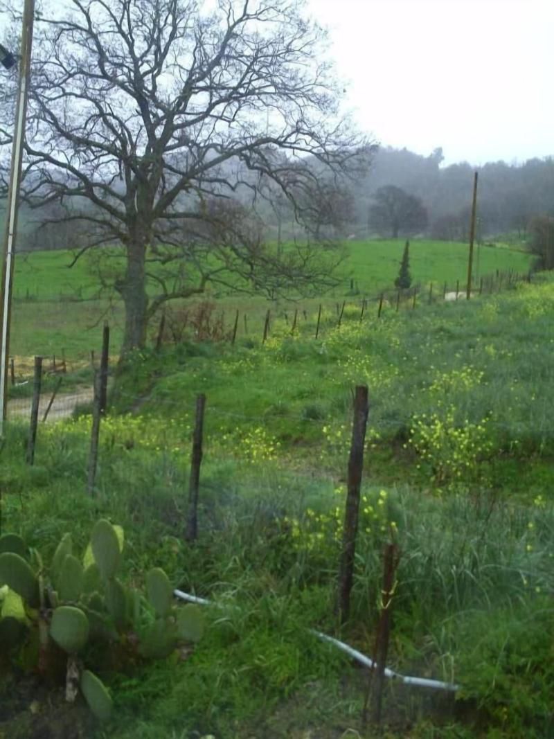 Agriturismo San Pietro