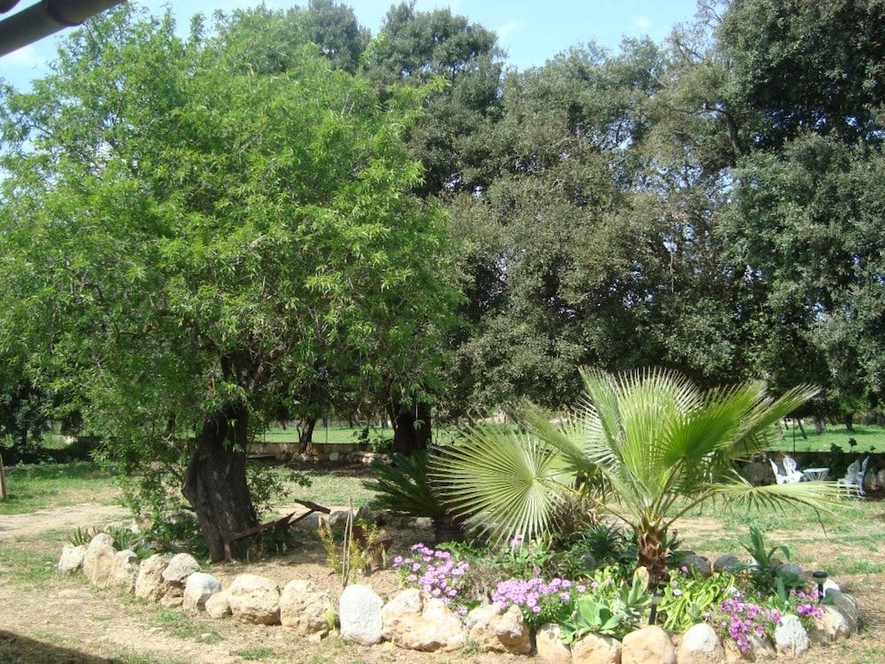 Figuera Blanca