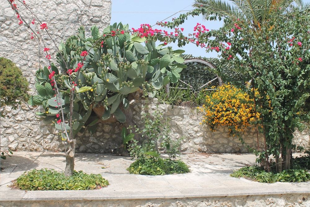 Residence Conchiglia San Giovani