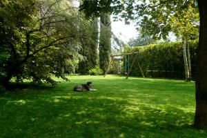 B&B Al Fiume