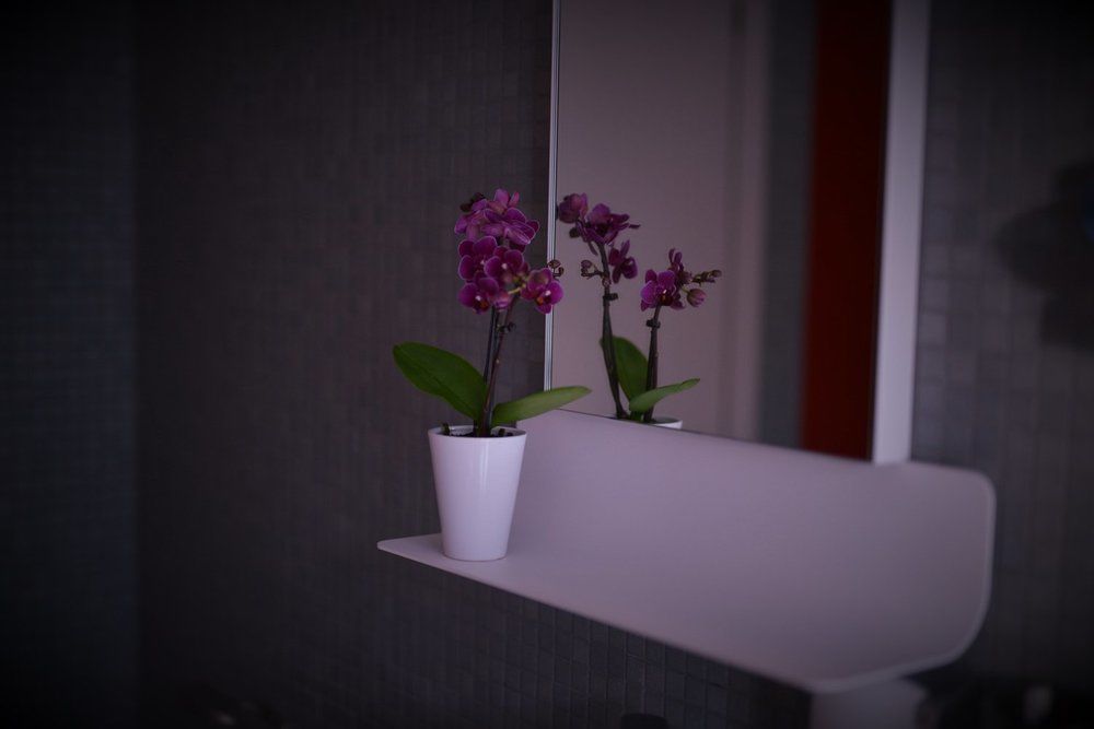 Diana Rooms