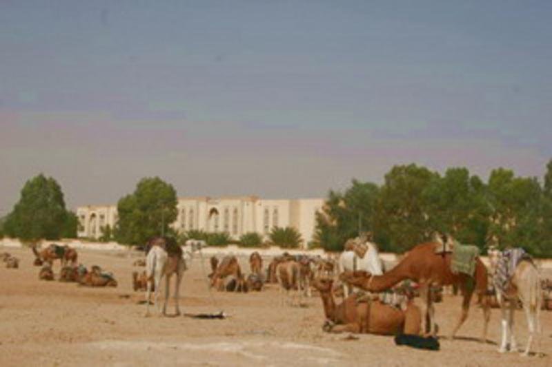 El Mouradi Douz