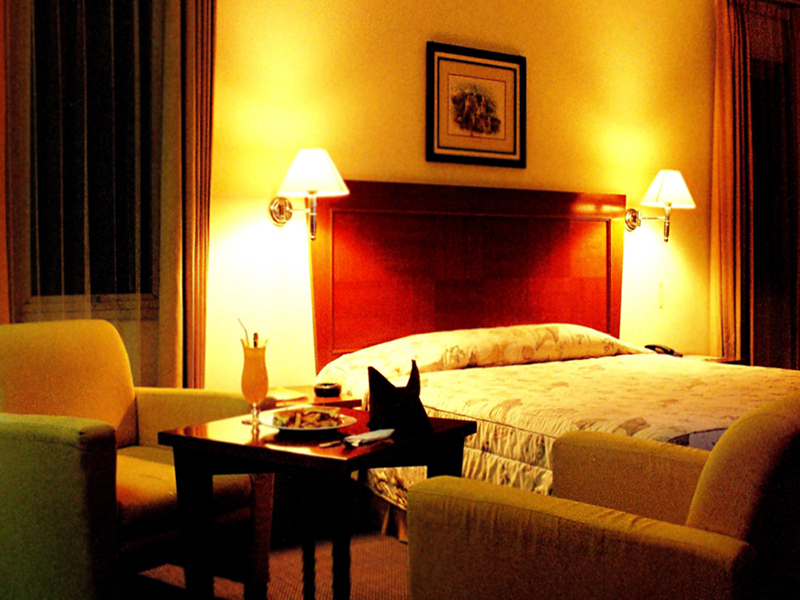 Hotel Nalendra
