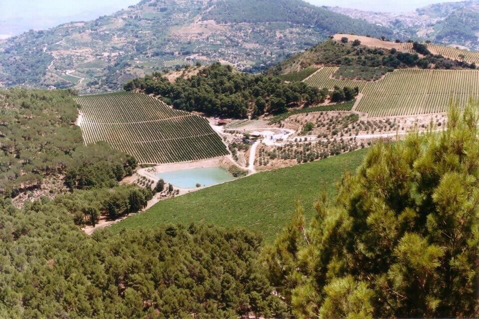 Agriturismo Tenute Pispisa Segesta