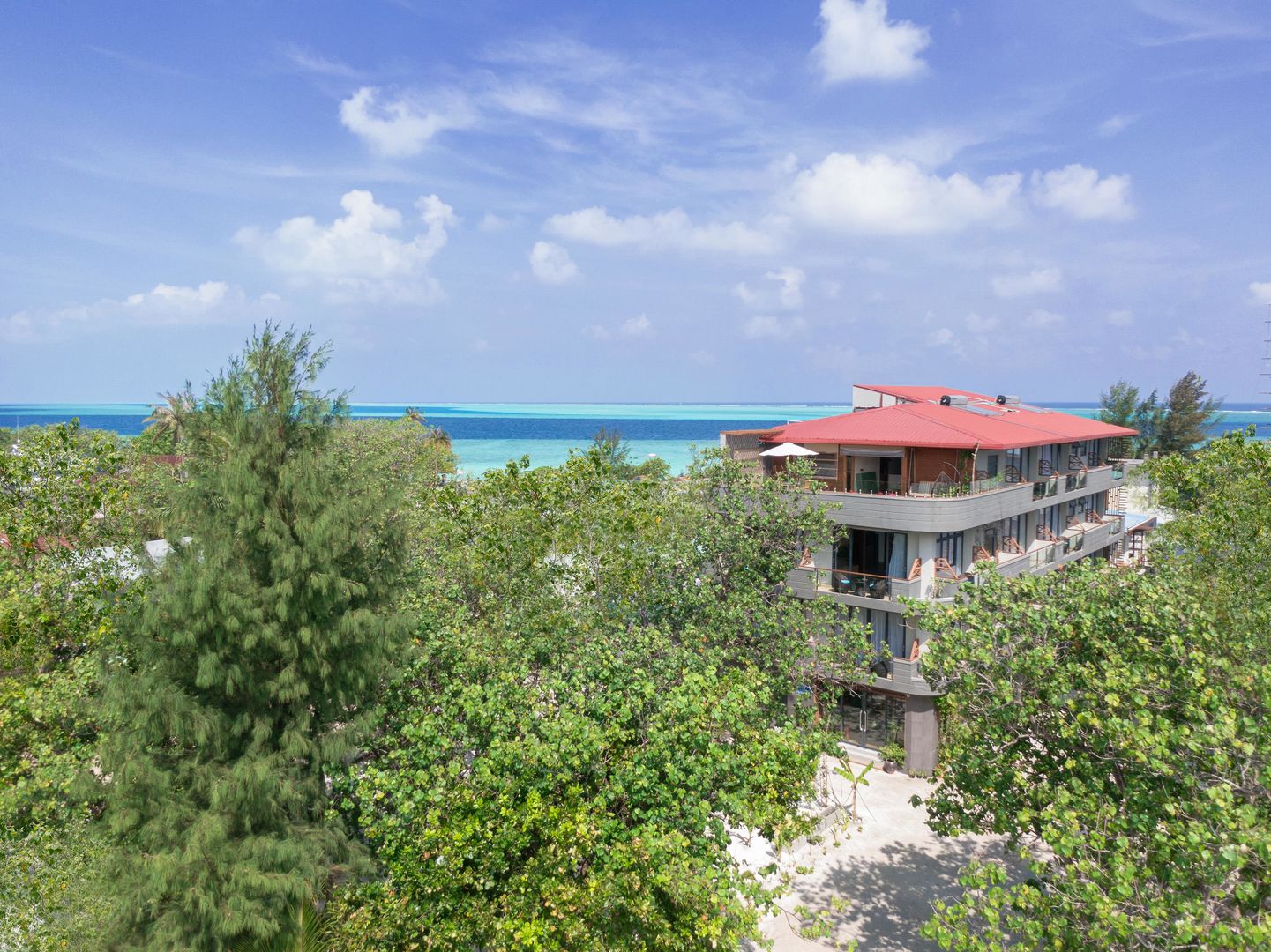 Ayala Ocean View