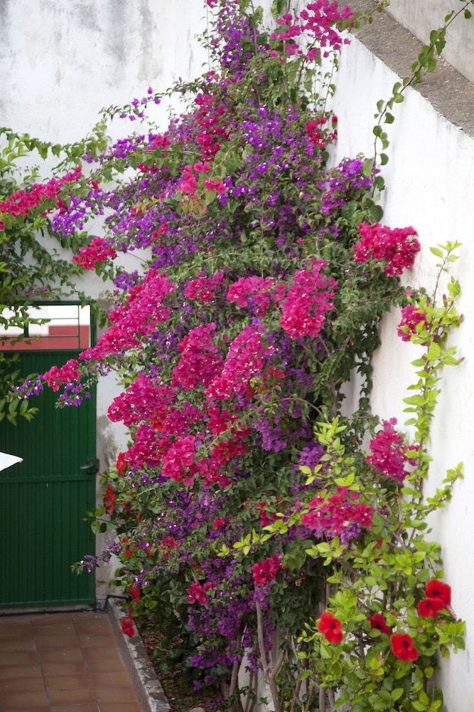 Rustic Med Casa Llorens