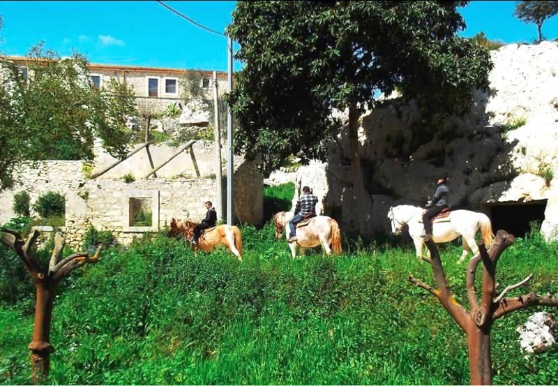 Agriturismo Fattoria Del Cavaliere