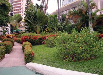 El Tropicano