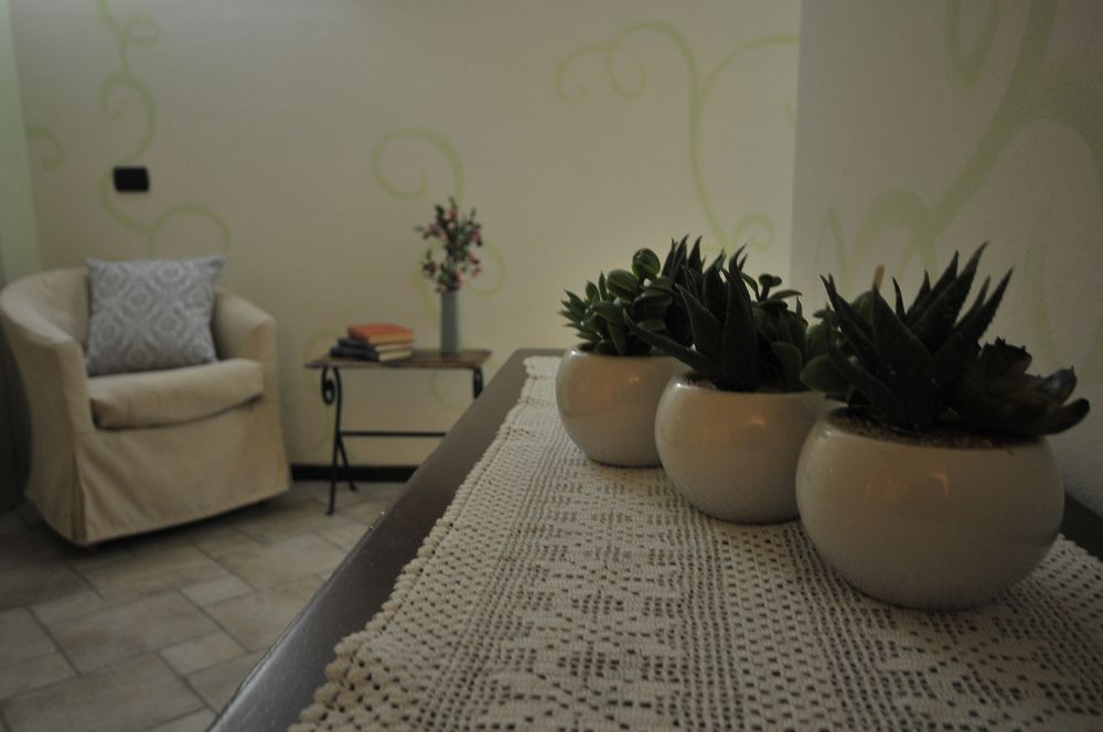 Resort Limax Acis