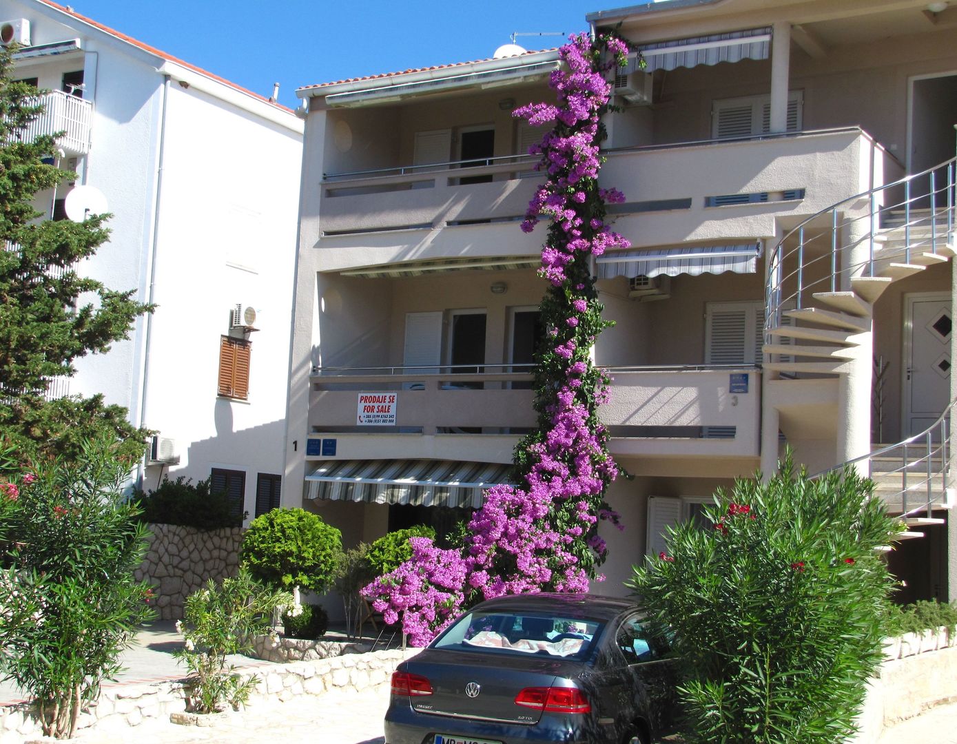 House Cvetka