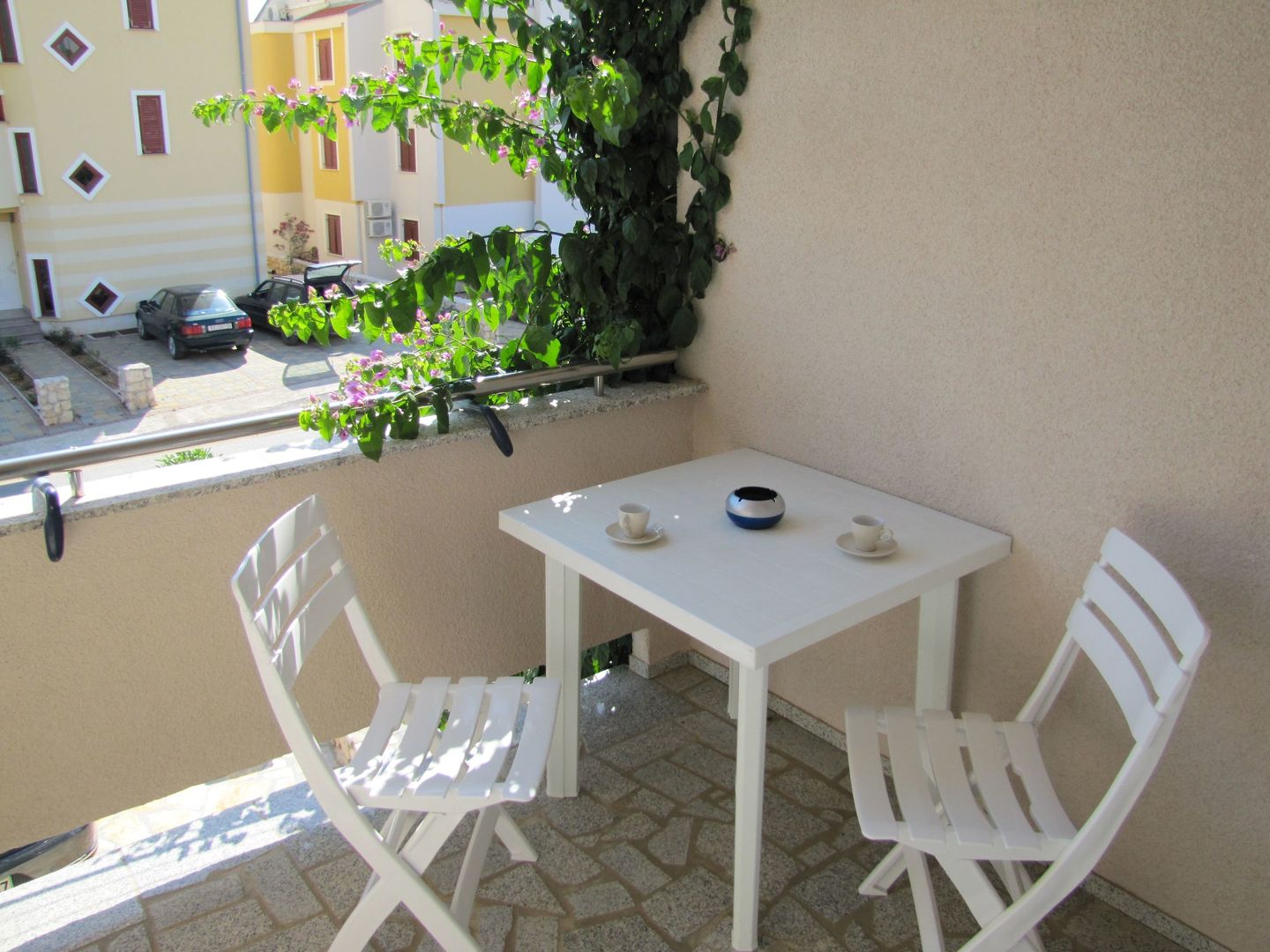 House Cvetka
