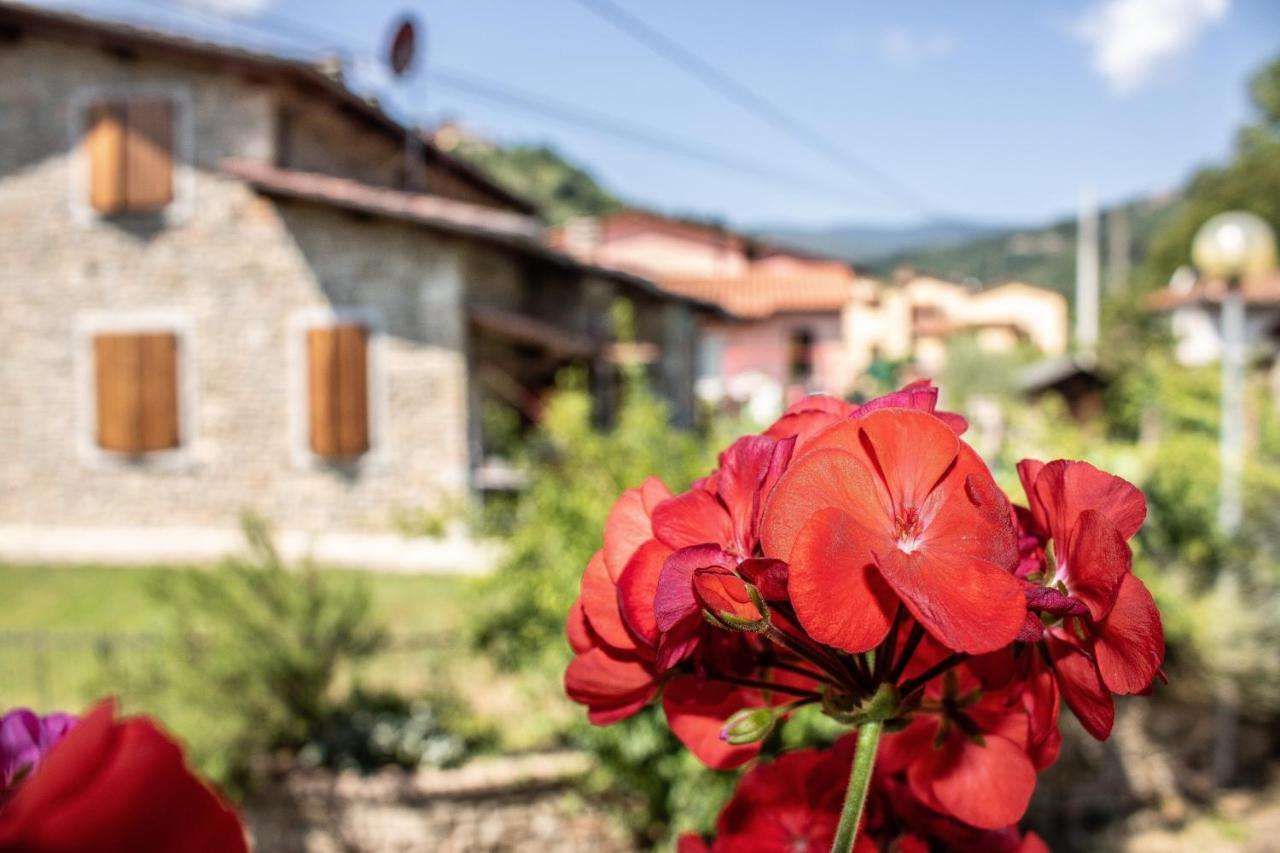 B&B La Casa D'Artista