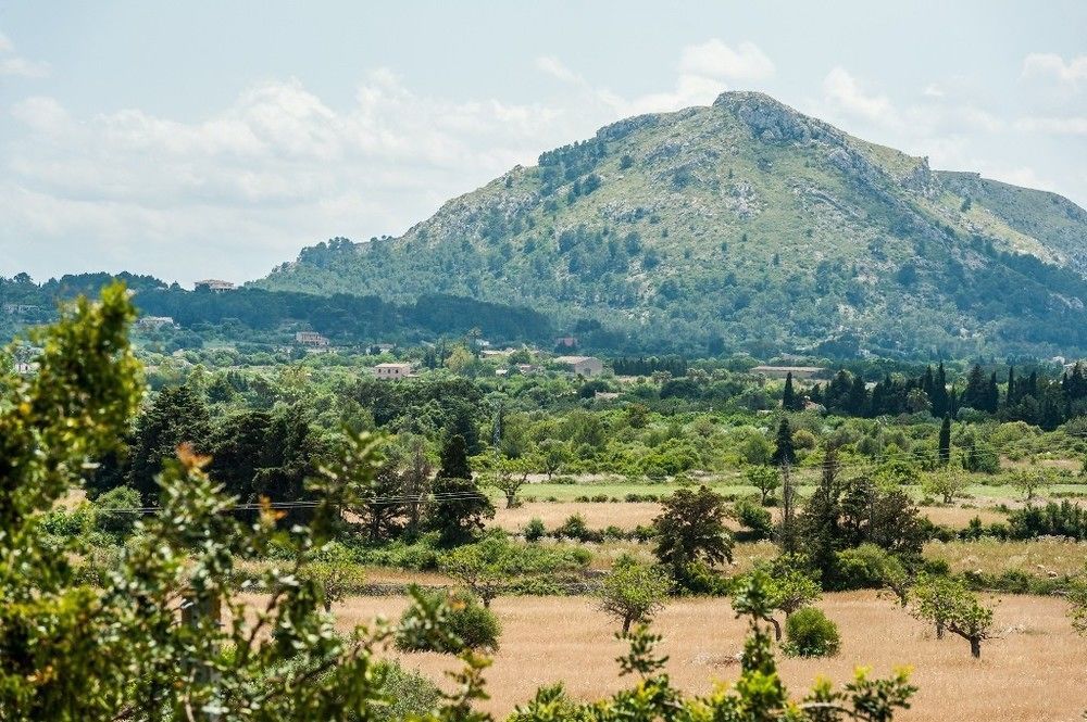 Villa Son Rio Nou