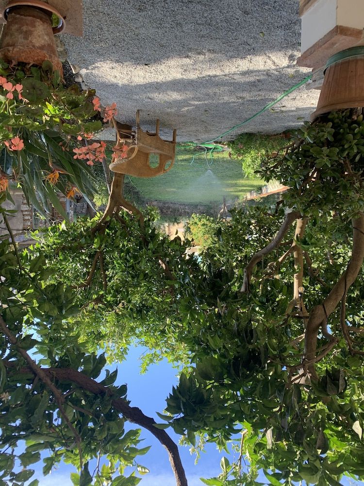 Il Giardino Dei Limoni