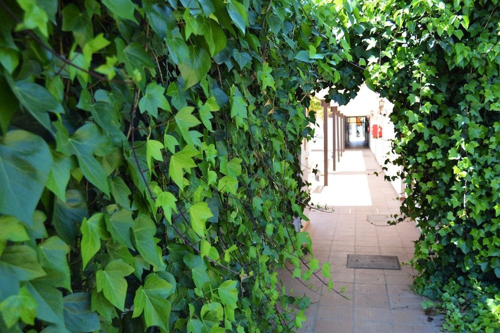 Nazaret de Moguer