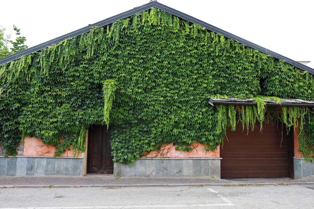La Casa Arancione Camere & Charme