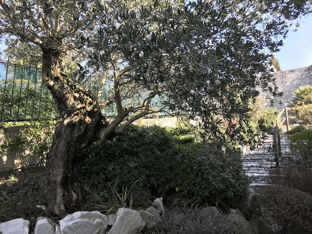 B&B Il Sasso Bianco