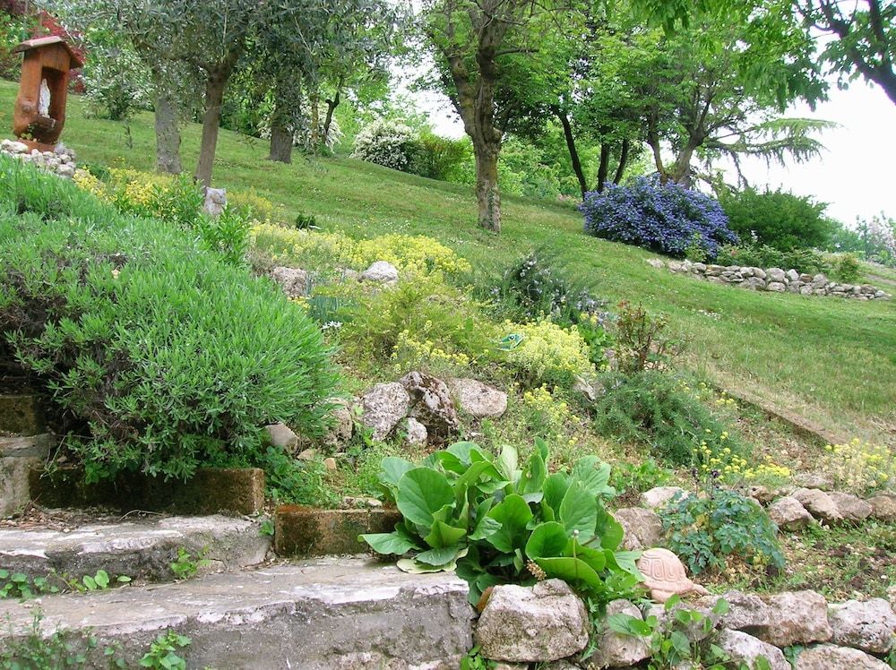 B&B Il Suono Del Bosco