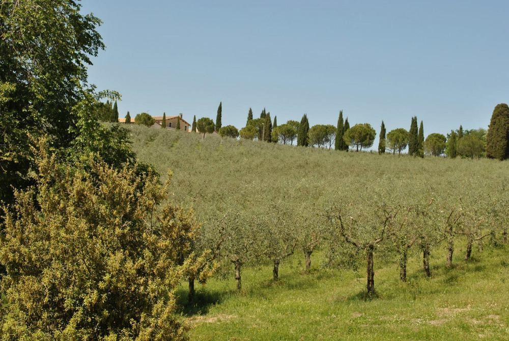 Agriturismo I Getsemani