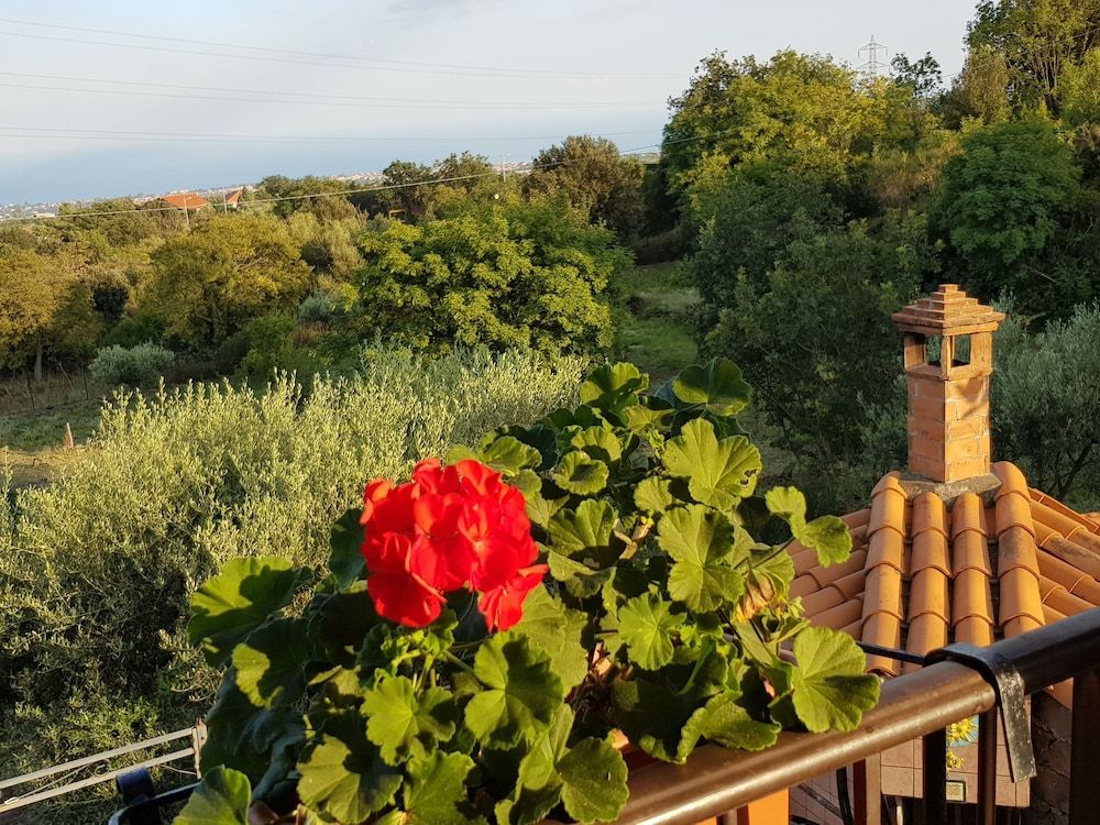 B&B Boutique di Charme Etna Relax Natura