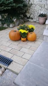 B&B Casteldante