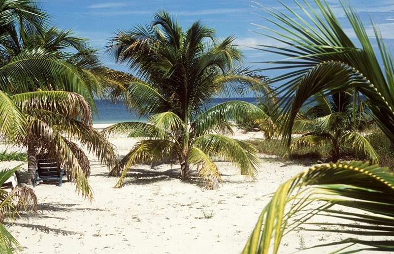Villas Delfines