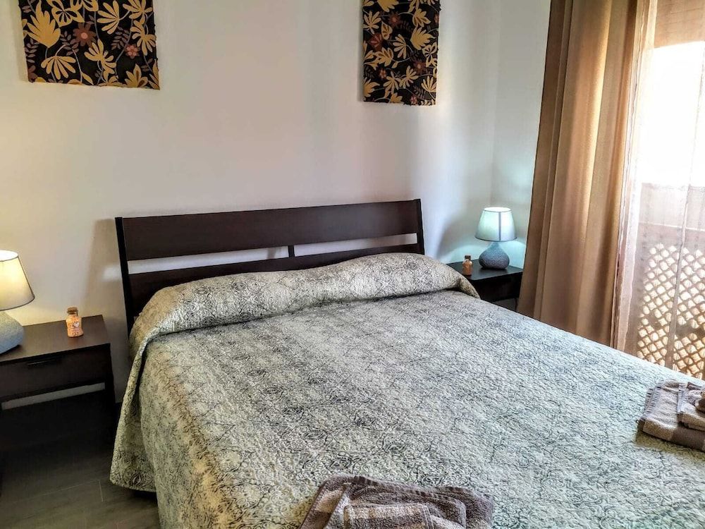 B&B Libellula