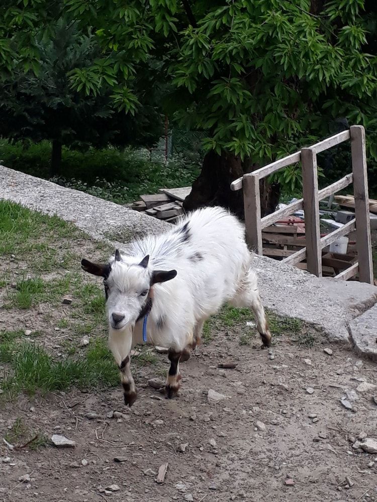 B & B Vecchiascuola
