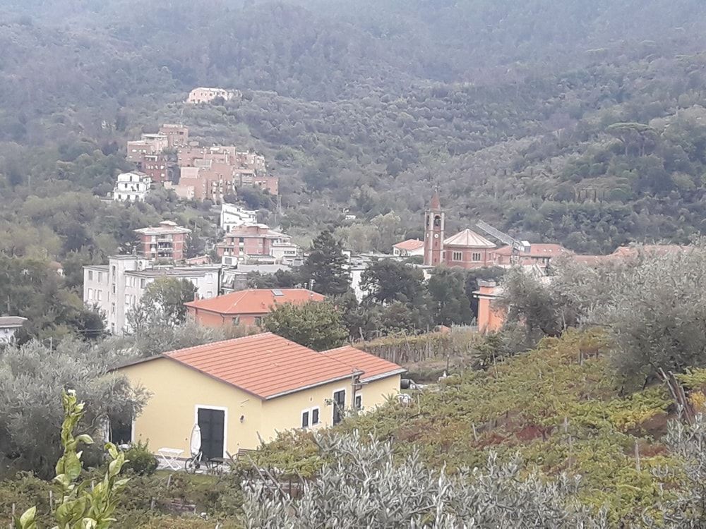 Agriturismo La Collina Verde