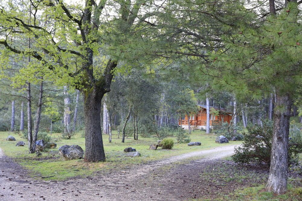 El llano de los Conejos