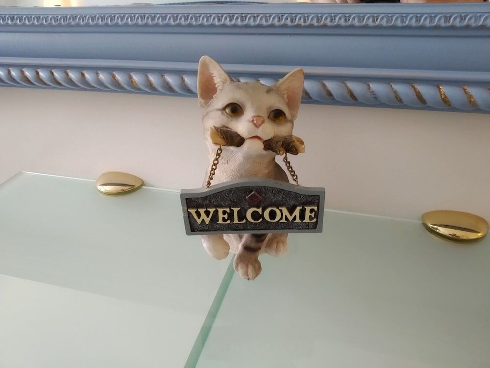 Hotel Il Gatto