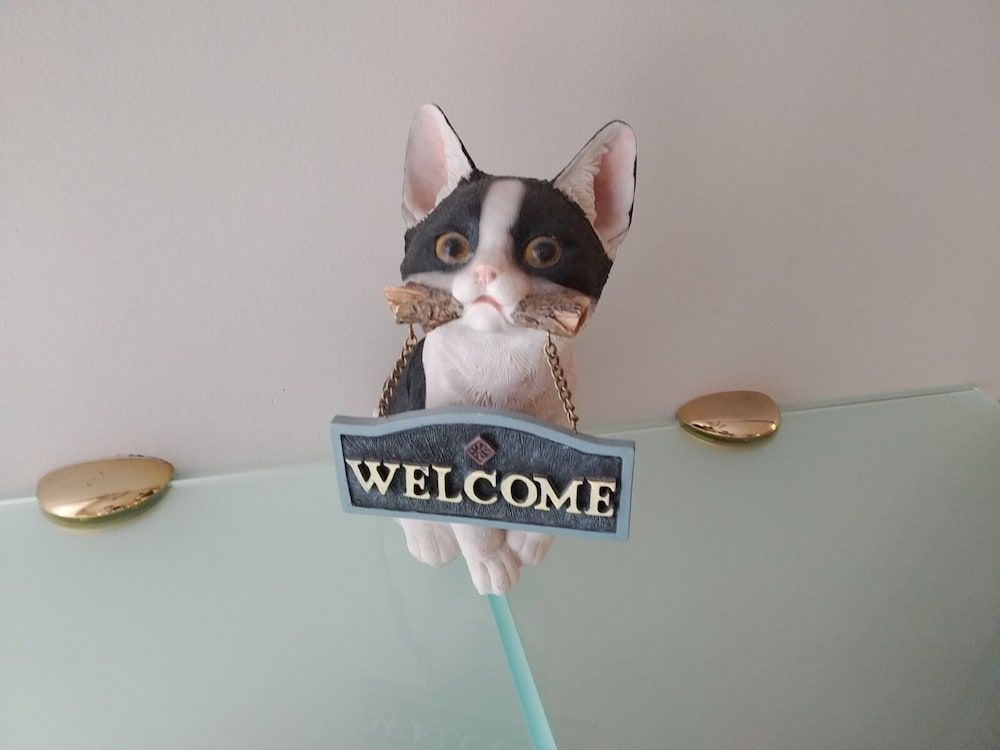 Hotel Il Gatto