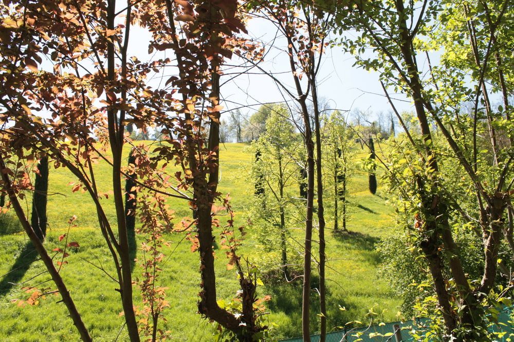 BoscoBo Relax&Natura