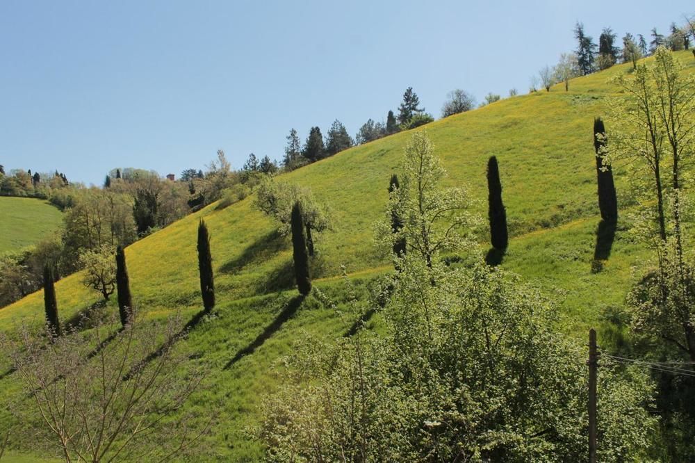 BoscoBo Relax&Natura