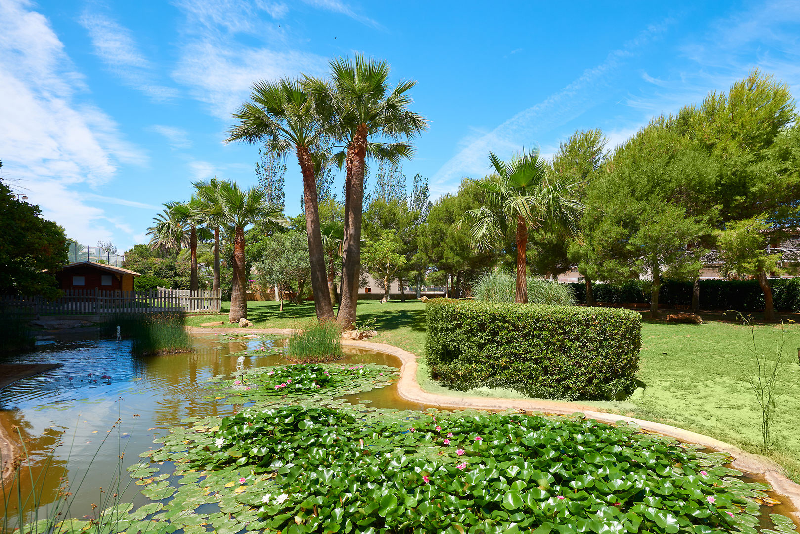 Welikehotel Marfil Playa