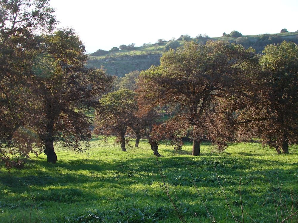 Sa Chessa