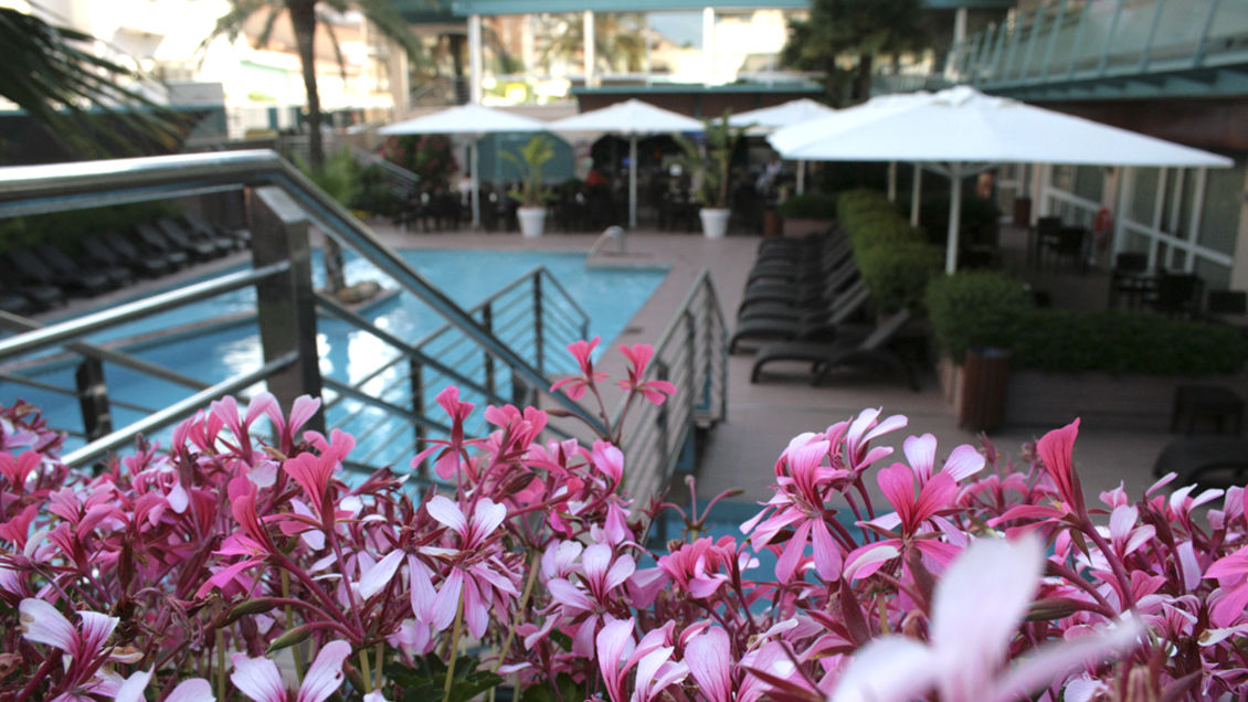 Hotel Kaktus Playa