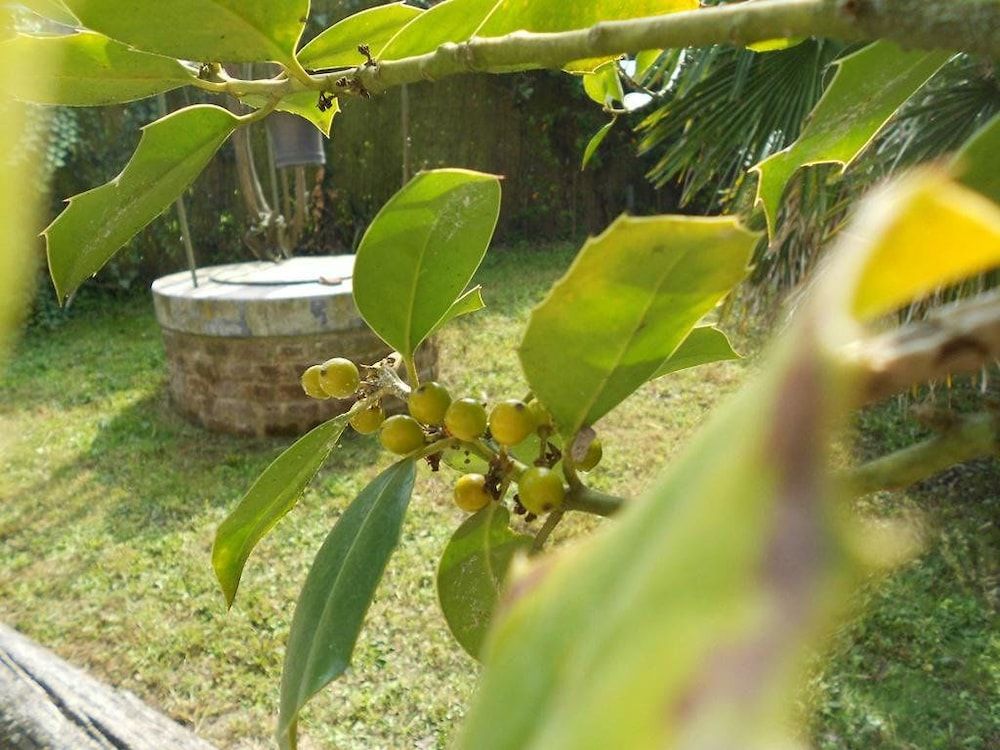 Il Casale Dell'ansina