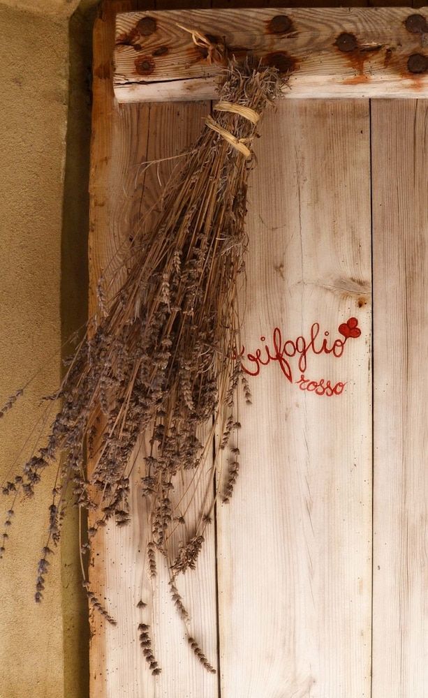 Il Casale Dell'ansina