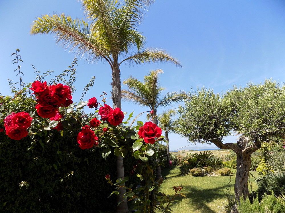 Vista Egadi B&B