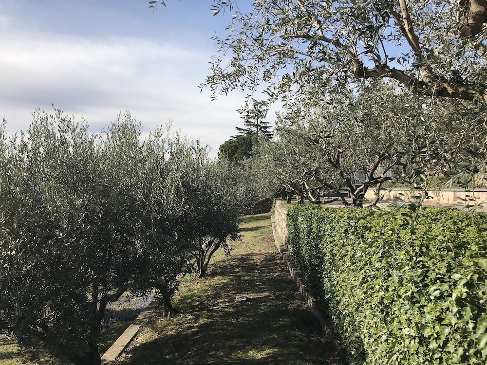 Valpolicella Hills