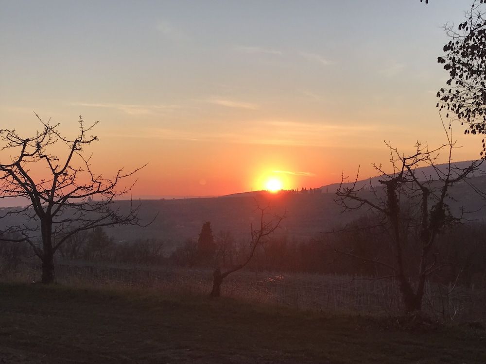 Valpolicella Hills