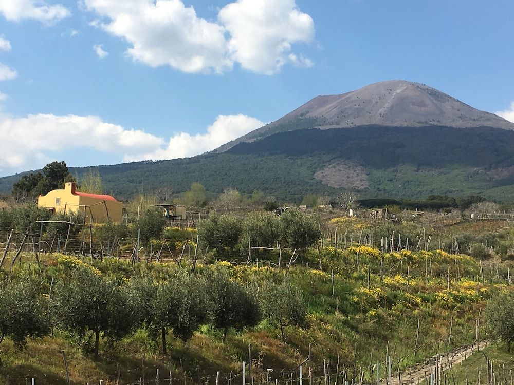 Azienda Agricola Vesevus Sorrentino Vini
