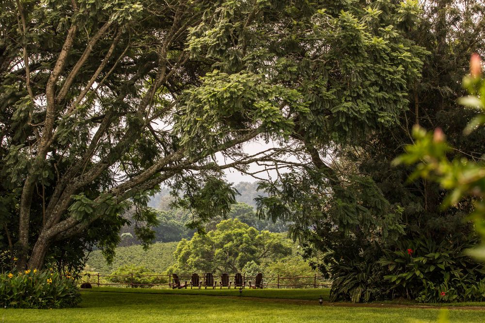 Elewana The Manor Ngorongoro