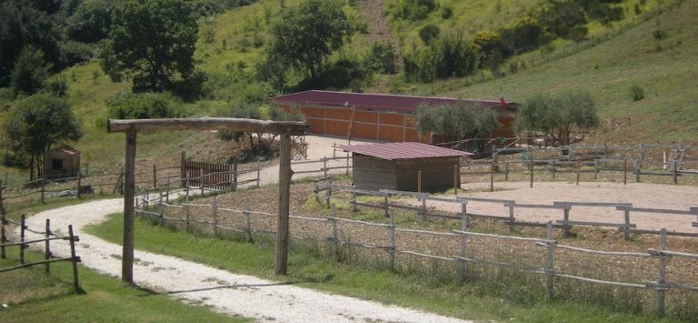 Agriturismo Goccia di Luna